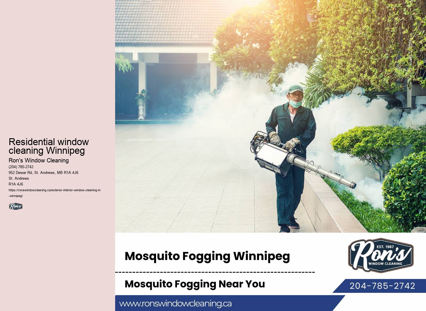 Professional window cleaning company commitment