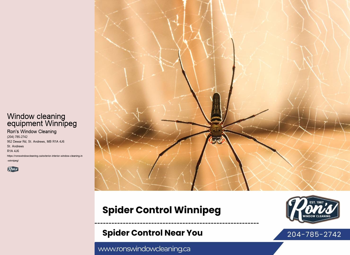 Top-rated commercial window cleaners Winnipeg