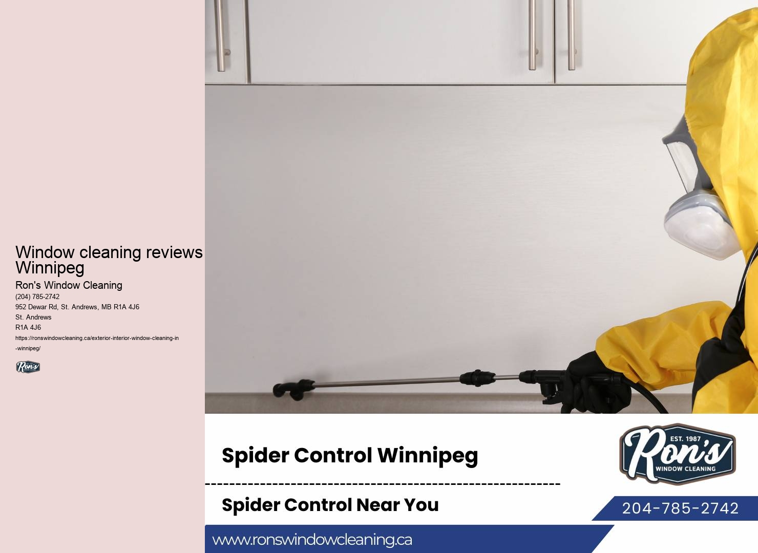 Local window cleaning service Winnipeg