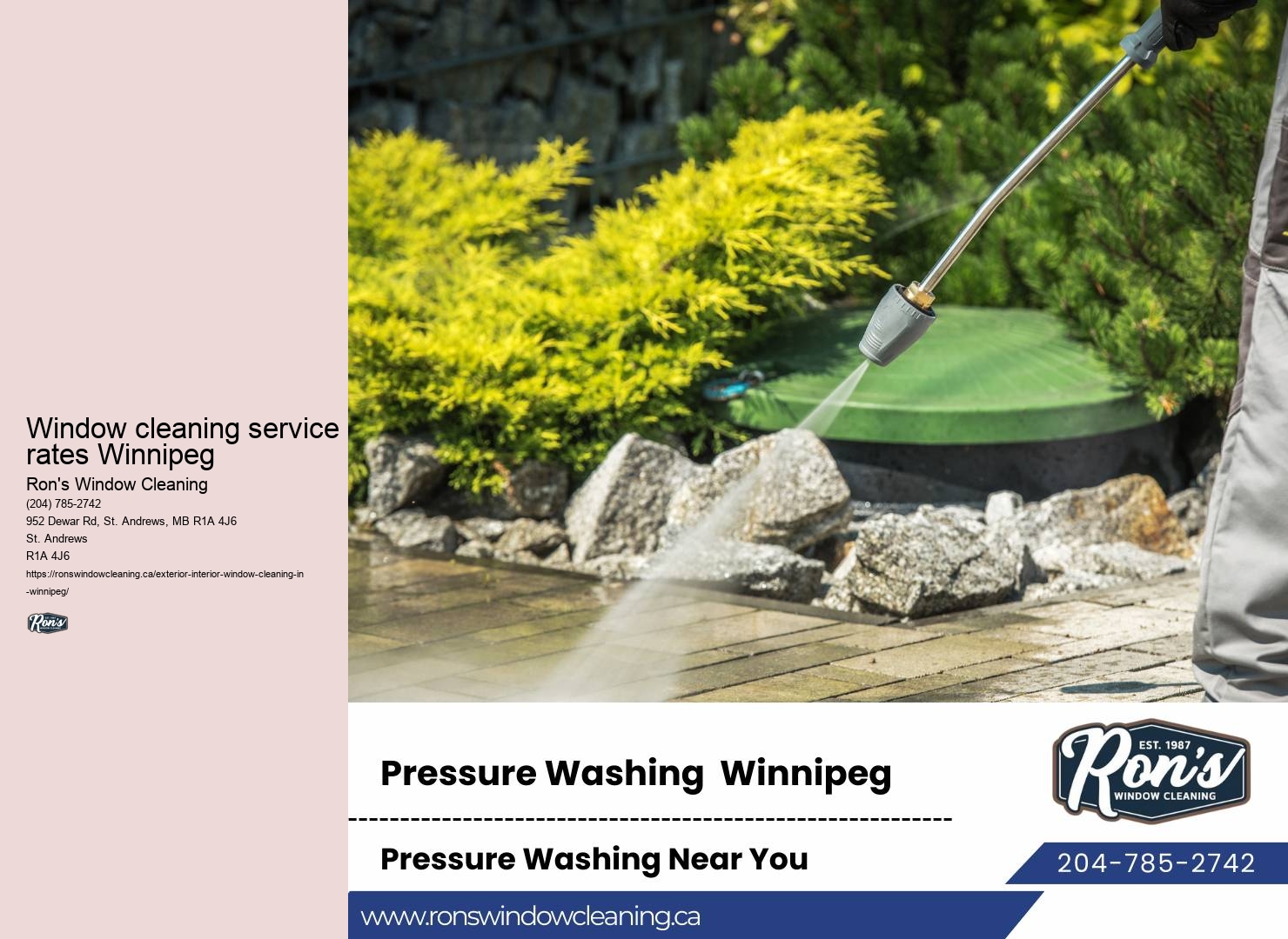 Professional window washing company