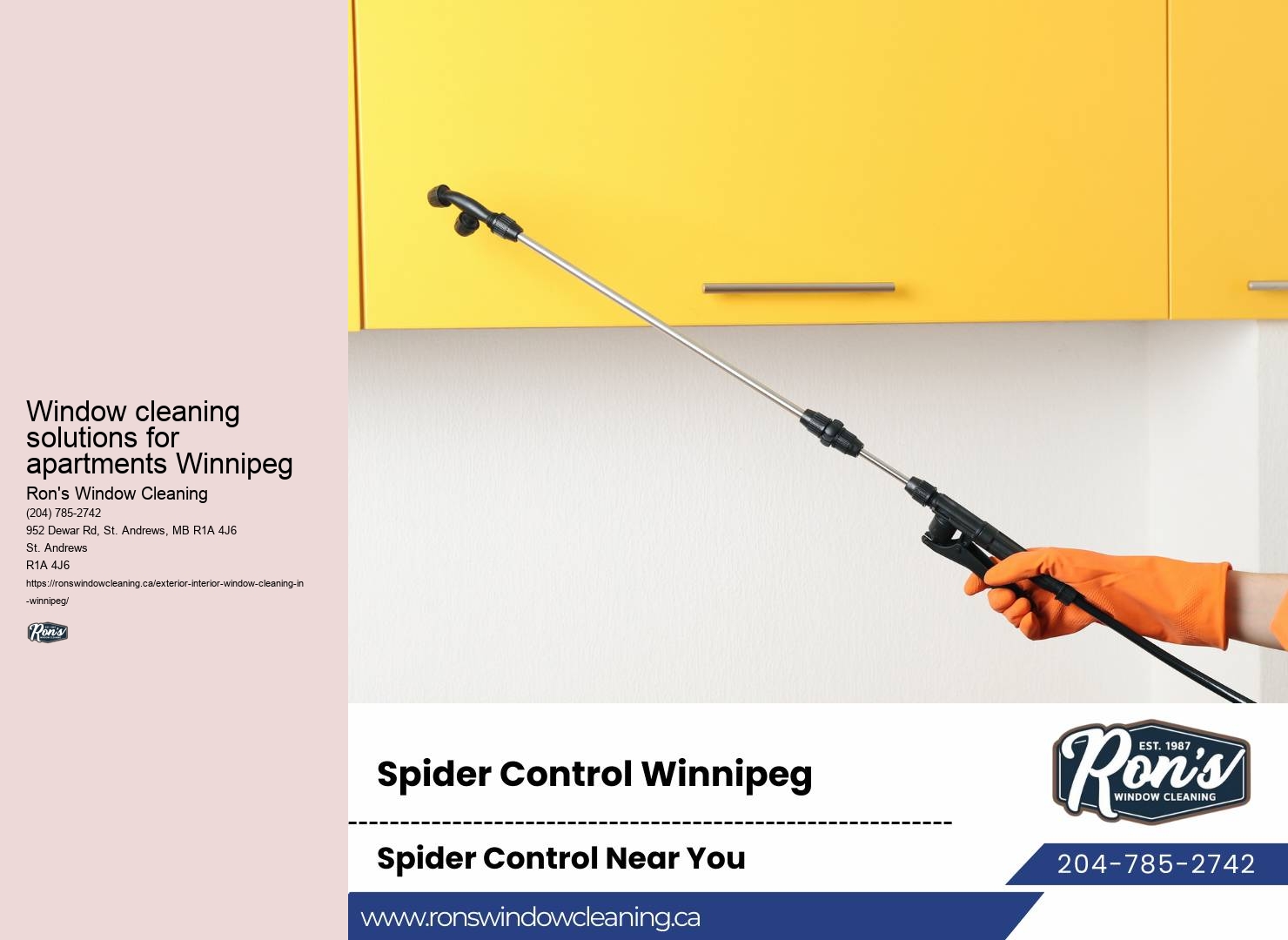 Affordable window cleaning rates