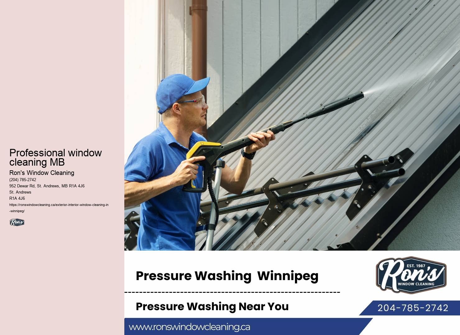 Winnipeg's window washing experts