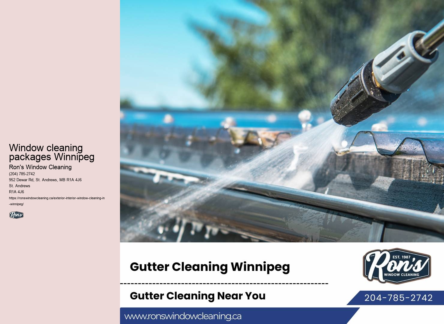 Best window washing services Winnipeg