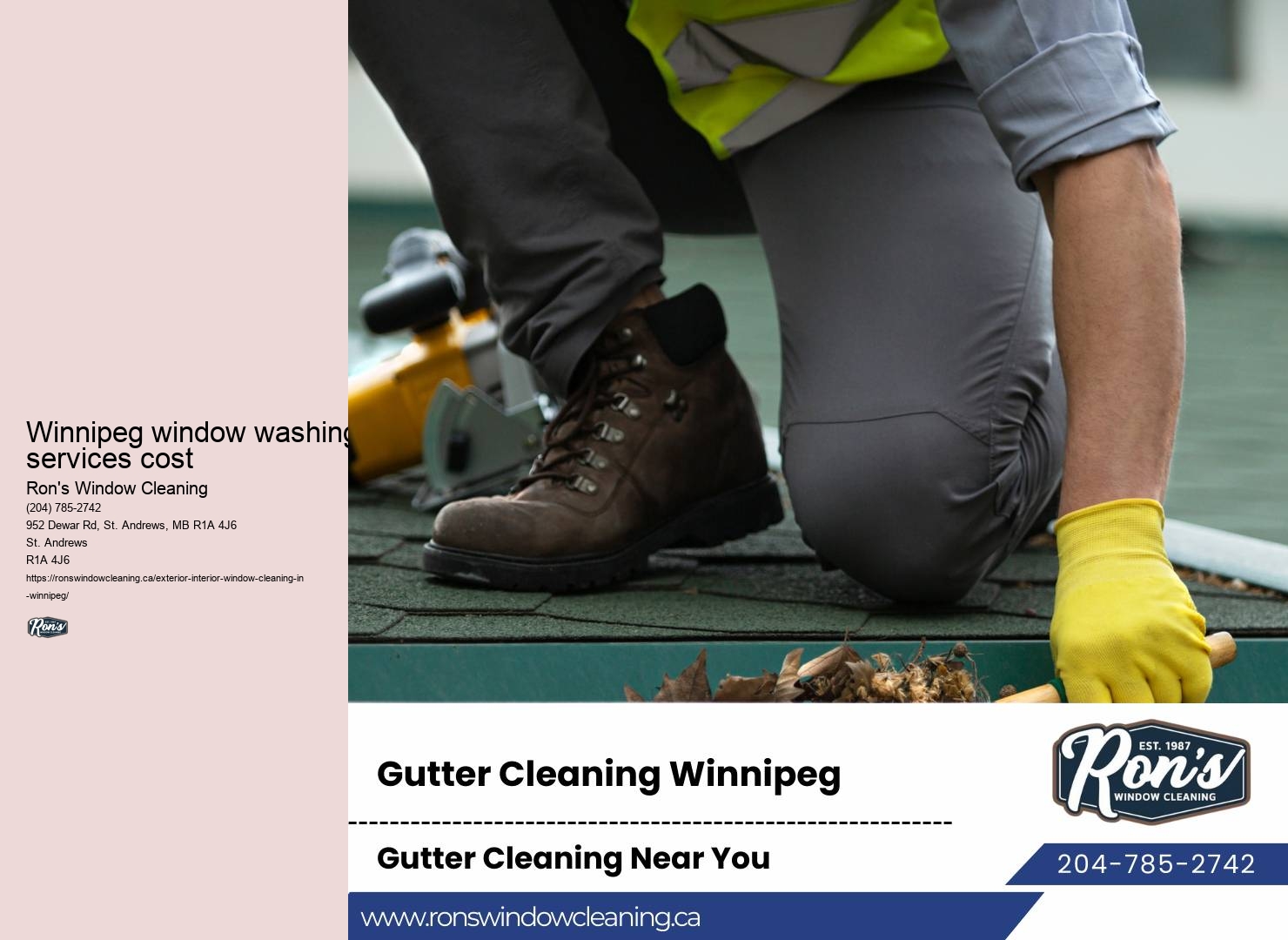 Best window washers in Winnipeg