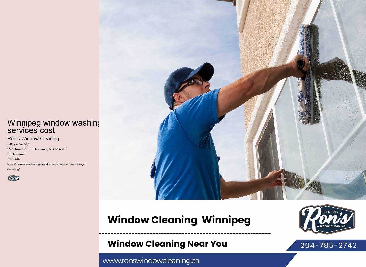 Professional window maintenance